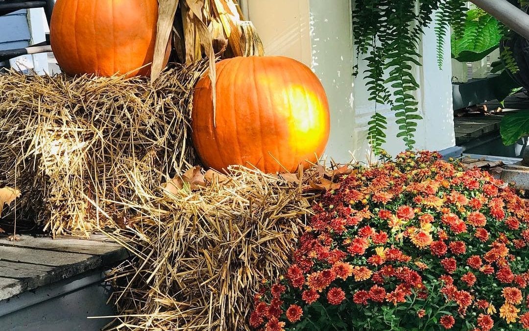 Fall has finally arrived at The Harrison! What a beautiful time to stay in any of our stunning rooms!