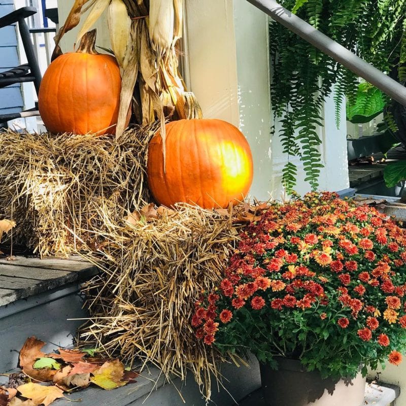 Fall has finally arrived at The Harrison What a beautiful time to stay in any of our stunning rooms Places to Stay New Jersey