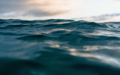 “That the sea is one of the most beautiful and magnificent sights in Nature, all admit.” – John Joly