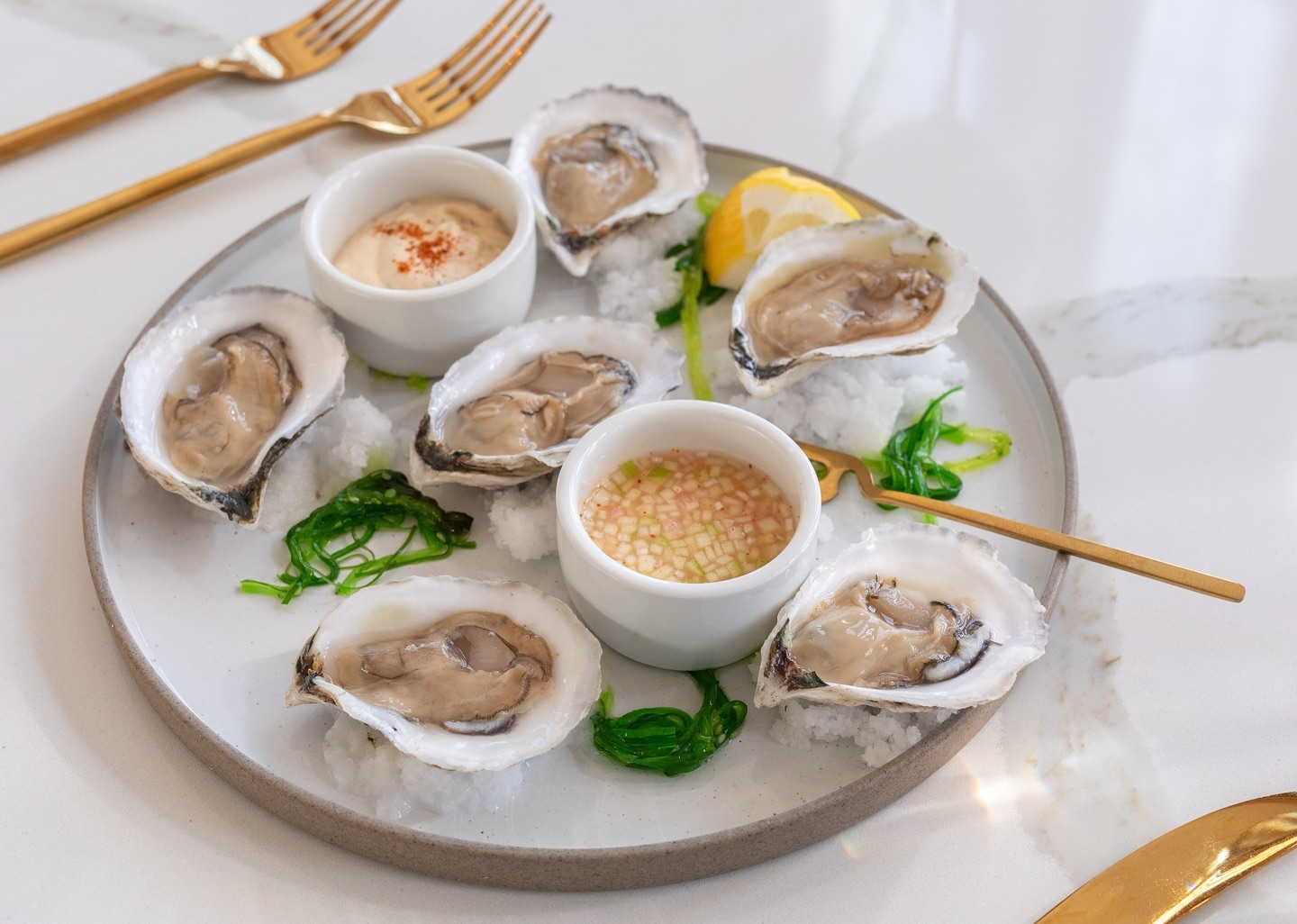 Oyster season is upon us Dine at Provence this October on our Chefs Tasting Menu or new Bistronomy Menu and enjoy complimentary shuttle service to and from dinner wwwProvenceCapeMaycom Places to Stay New Jersey