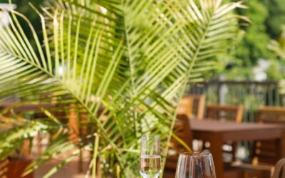 Dinner al fresco is just around the corner. Book your stay at The Harrison with dinner at Provence and enjoy the best that Cape May has to offer. www.ProvenceCapeMay.com