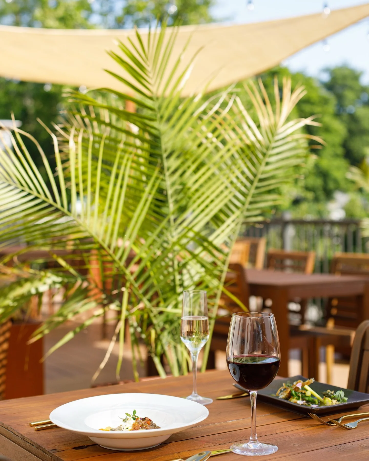 | The Harrison Dinner al fresco is just around the corner Book your stay at The Harrison with dinner at Provence and enjoy the best that Cape May has to offer wwwProvenceCapeMaycom