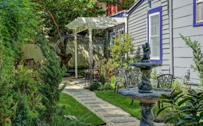 Discover a little corner of paradise at The Harrison! Our charming outdoor seating area is perfect for relaxing with a morning coffee or an evening glass of wine. Surrounded by lush greenery, it’s the ideal spot to unwind and soak in the serene vibes.