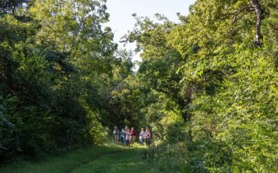 Discover the magic of birding in Cape May! 🦜 Whether you’re an avid birder or just love exploring nature, Cape May is a top destination for spotting rare and migratory birds. Stay at The Harrison and enjoy the best of birdwatching just moments away!  Book your stay: www.TheHarrisonInn.com