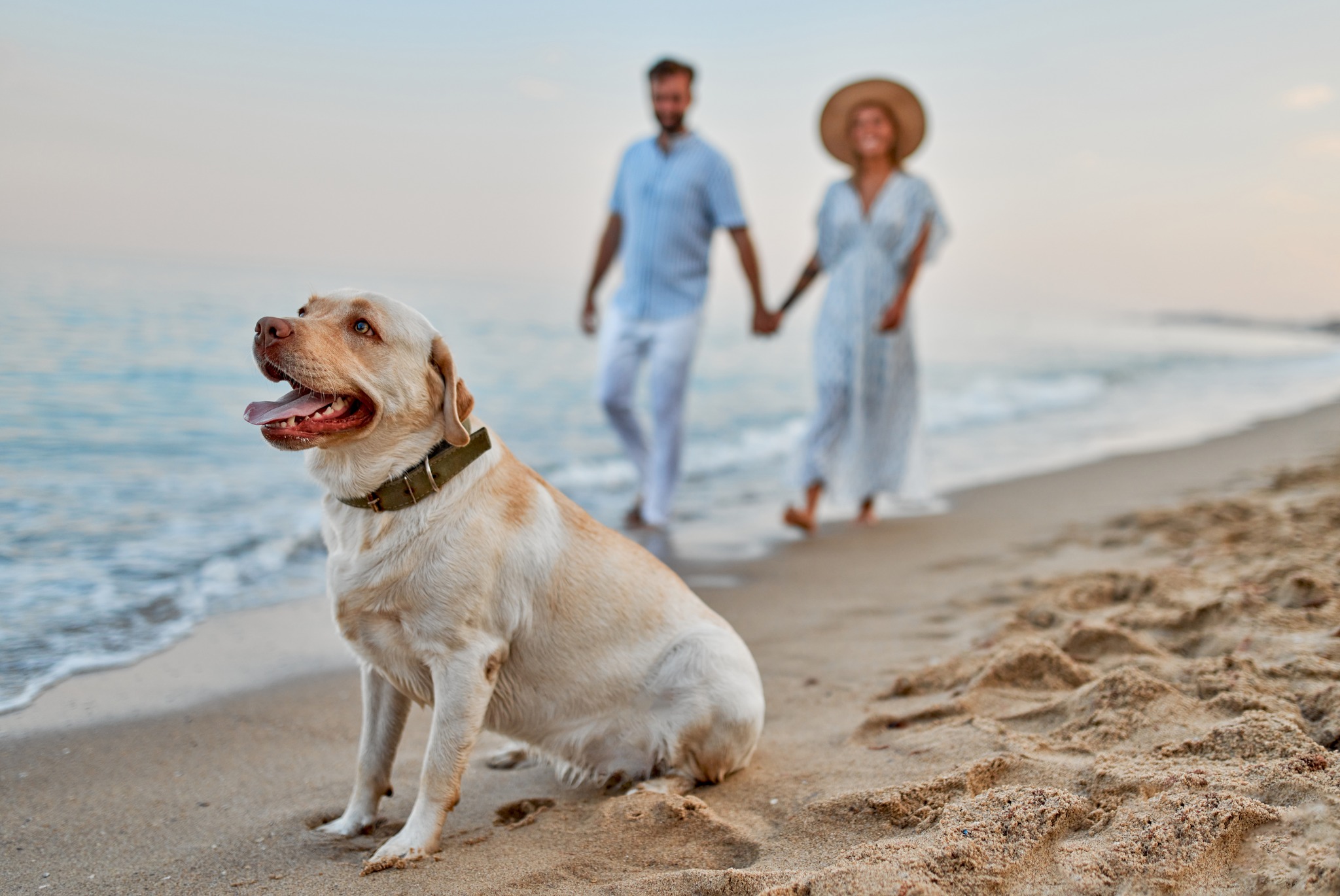 | The Harrison Places to Stay New Jersey